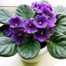 http://t2.gstatic.com/images?q=tbn:ANd9GcRRgne0M990EvZgMbuMe9eXzUChdE4lB0FnGpCbhHGioOuUL20_8w