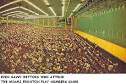 Sports Illustrated Jai-Alai Article: The Glass Menagerie