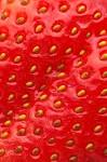 File:Closeup of a strawberry.jpg - Wikimedia Commons