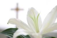 Doncaster Funeral Flowers