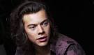 Is Harry Styles gay? | OK! Magazine