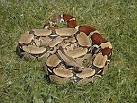 The South Boa Constrictor Brighter Future Challenge