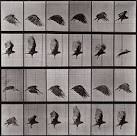 Charles A. Hartman Fine Art | Exhibition: Eadweard Muybridge ...