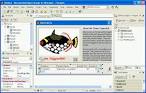 Delphi 2005 Reviewer's Guide