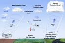Aerospaceweb.org | Ask Us - Birds, Thermals &amp; Soaring Flight