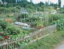 How To Start A Community Garden