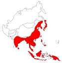 Japanese Encephalitis Questions and Answers - CDC Division of ...