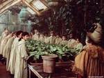 Magic - Harry Potter Wiki