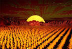 Arirang Festival, a photo from Pyongyang-si, North | TrekEarth