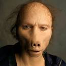 Back to The Human Face