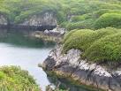 Luxurious vegetation for Lewis where the River Creed flows into Stornoway - via Daymix
