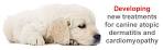 IMULAN - Canine Atopic Dermatitis and Feline Stomatitis