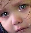 ردپـــایــــ دــ ــخـتـ ـ
