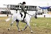 equestrian: Definition from Answers.