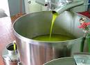 A Picture of Olive Oil &amp; Photo Gallery of its Cold Press Extraction
