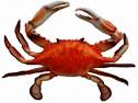 Frenchy's House Party; "How you durrin?": Today's "Crab" Session