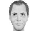 Composite sketches of literary characters