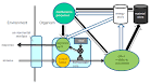 Foraging Search: Prototypical Intelligence