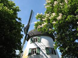 Windmühle in Fissenknick - Bild \u0026amp; Foto von Marianne Dunkel aus ...