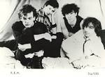 Amazon.com: Document: Rem: Music