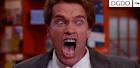 kindergarten cop