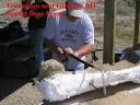 CARBON DATING OF FOSSILS