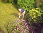 File:Gardening.jpg - Wikipedia, the free encyclopedia