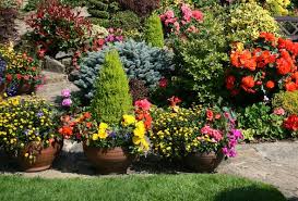 garden tips