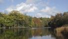 Island Pool in Baggeridge Country Park near Wombourne, Staffordshire - via Daymix