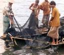Gujarat fishermen equip their boats with GPS | TopNews