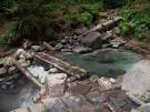 Cougar hot springs, first of the 4 pools out of the spring... and ...