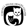 Feline Immunodeficiency Virus (