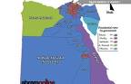 Analyzing Egyptian Presidential Election Vote