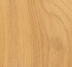 legno di tasso