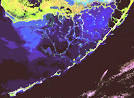 Florida Bay/Everglades Home Page
