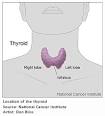 Calcitonin: The Test