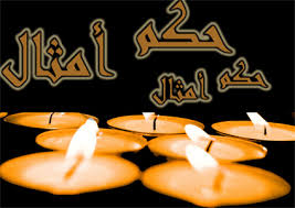 http://t2.gstatic.com/images?q=tbn:ANd9GcRVvm9w3R_Ly59bHNrM_xzHXsOm6OEw04cnhVjK5depMaWHqQ1q