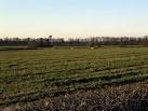 Taken from the road midway - via Daymix