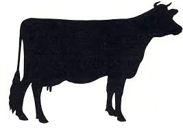 گاوشیری