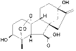 ga1.gif