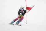 File:Giant Slalom Racer.jpg - Wikipedia, the free encyclopedia