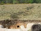 the soil more acidic, - via Daymix