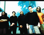 Dave Matthews Band Wallpaper