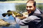 File:Small Eastern freshwater cod.jpg - Wikipedia, the free ...