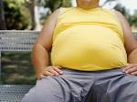 <b>Obesity</b>