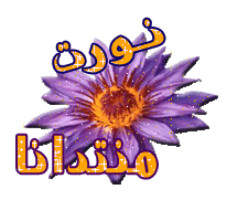http://t2.gstatic.com/images?q=tbn:ANd9GcRWkZVQaq7N-4sALLez4Ff3Gmxwl6qAF24D2KPOvFClJ0pfG3CI