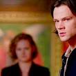 dean sam damon elena cat gif