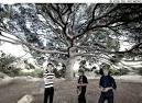 Image POST POPULAR Nada Surf have Picture