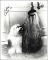 TV's "Cousin Itt" From "The Addams Family" Felix Silla Autographed ...