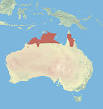Antilopine kangaroo - Wikipedia, the free encyclopedia